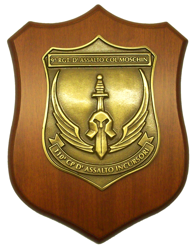 Crest 110a CP d’Assalto Incursori – IX° Rgt. d’Assalto Col Moschin